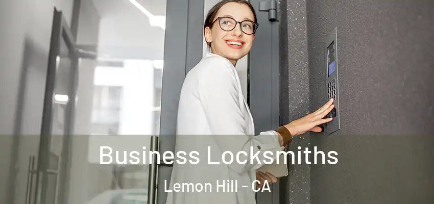 Business Locksmiths Lemon Hill - CA
