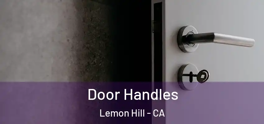  Door Handles Lemon Hill - CA