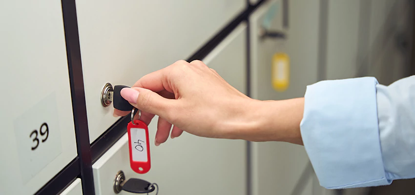 Cabinet Lock Installation in Lemon Hill, California